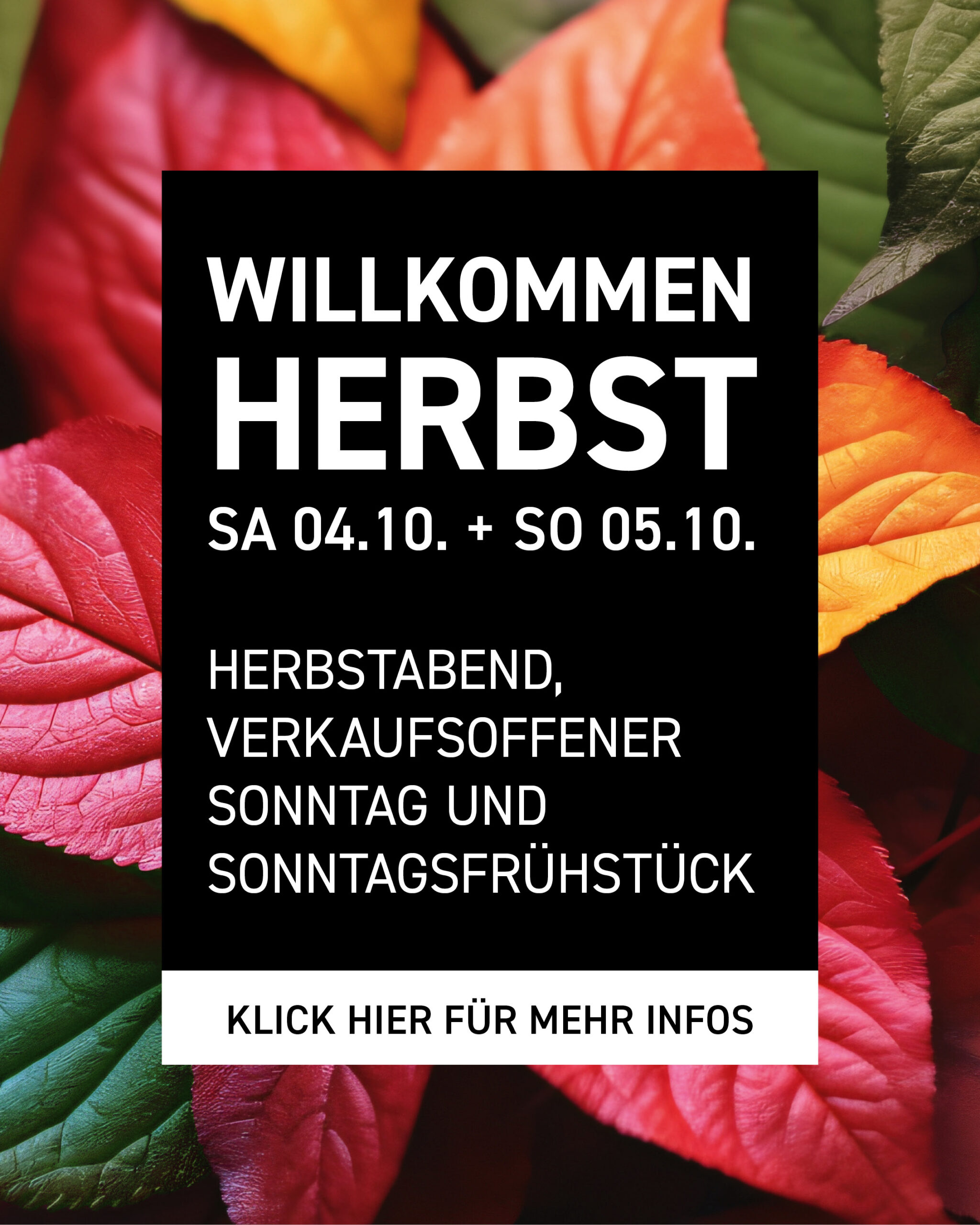 Willkommen Herbst 2025 am 4.10. und 5.10. im Greenhouse, Gartencenter und Elliots Gartencafe