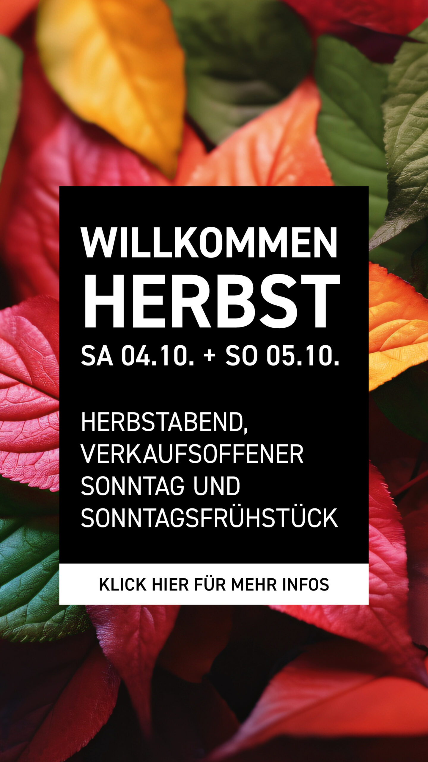 Willkommen Herbst 2025 am 4.10. und 5.10. Im Greenhouse, Gartencenter und Elliots Gartencafe