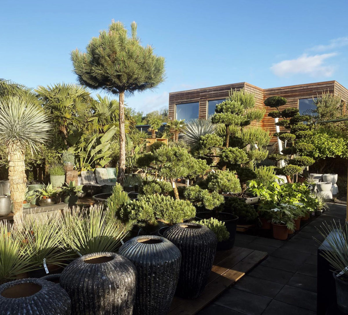 54+ Gartencenter Sonntag Offen, Bitte beachten sie unsere