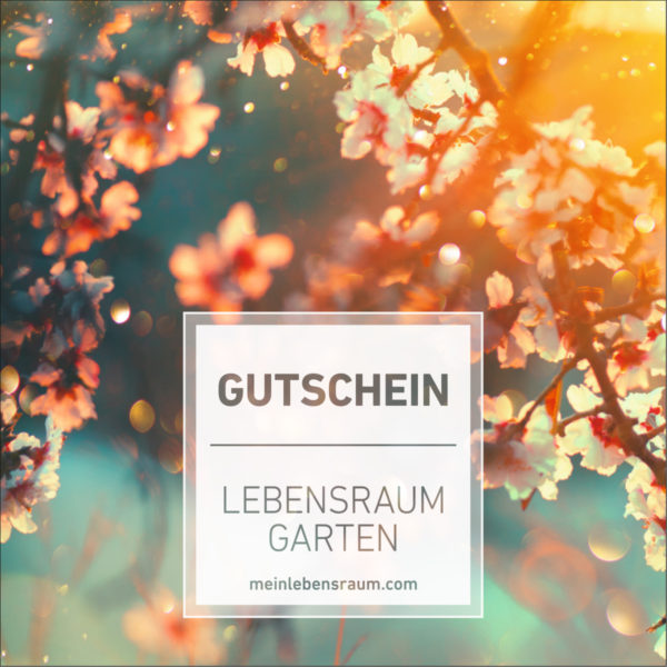 Gutschein Frühlingsblüte