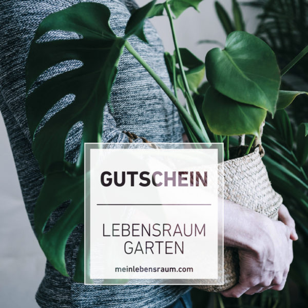 Gutschein Monstera