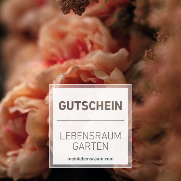 Gutschein Blütenzauber