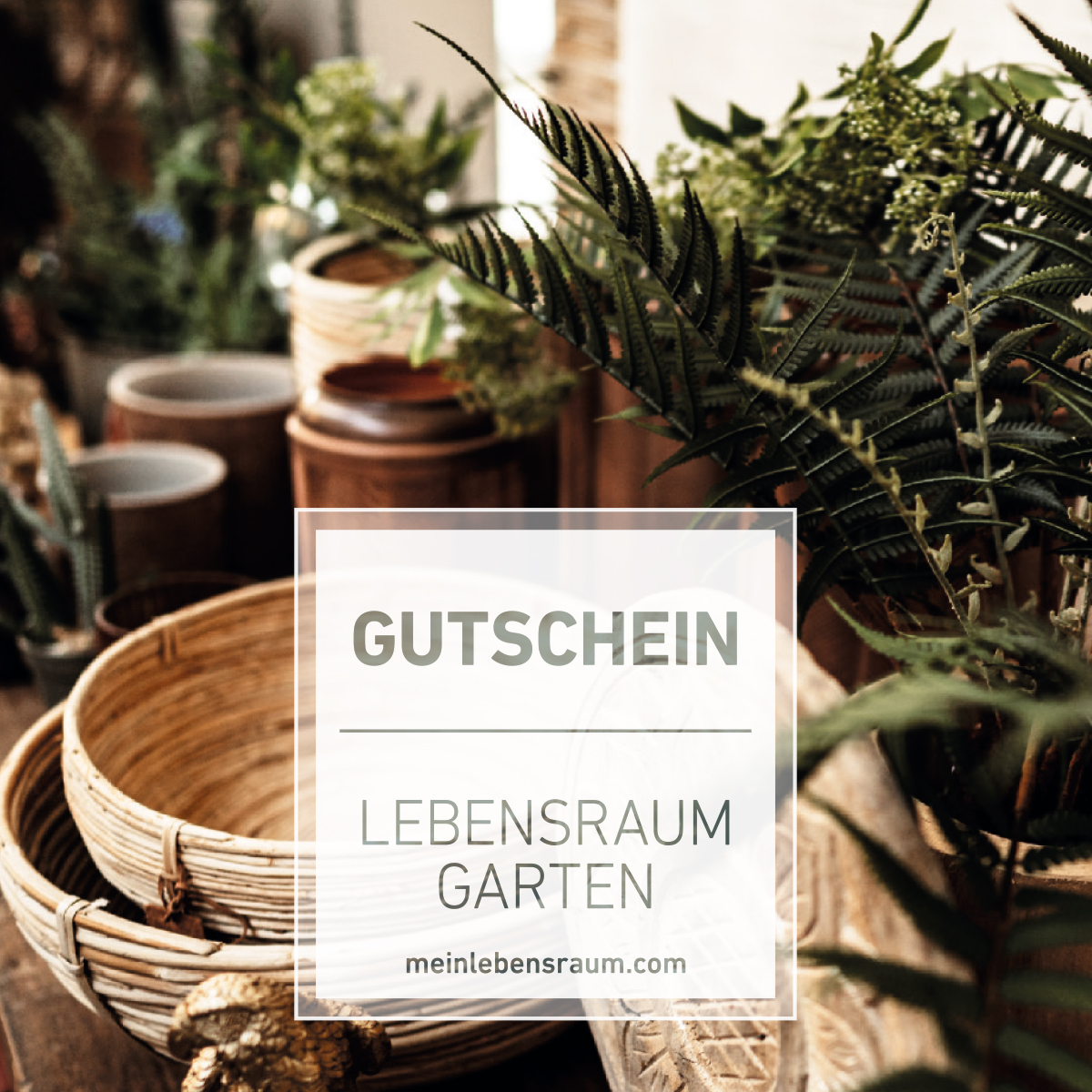 Gutschein Ambiente