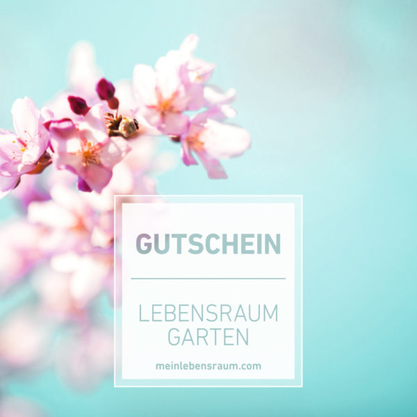Gutschein Kirschblüte