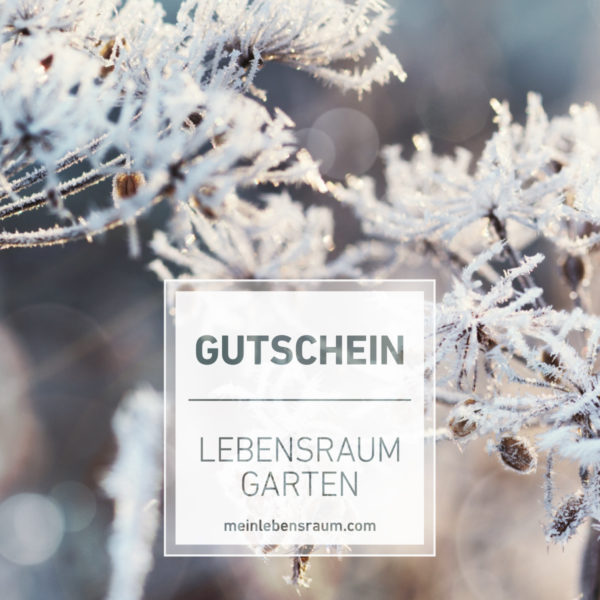 Gutschein Eisblumen weiß