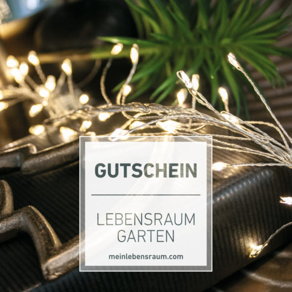Gutschein Weihnachtslichter