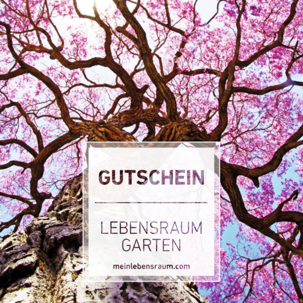 Gutschein Baumkrone rosa
