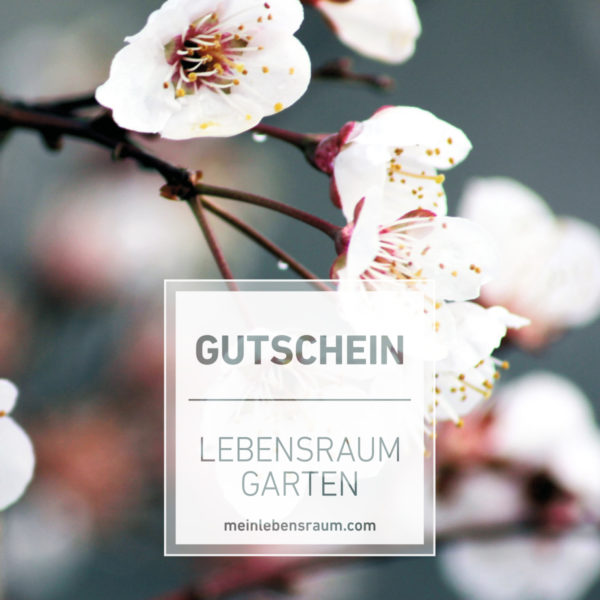 Gutschein Frühlingserwachen