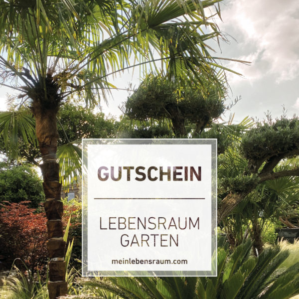 Gutschein Unter Palmen