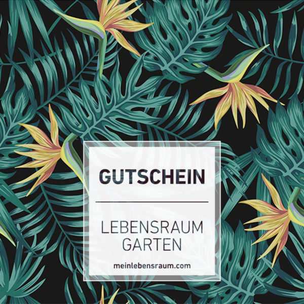 Gutschein Strelitzien