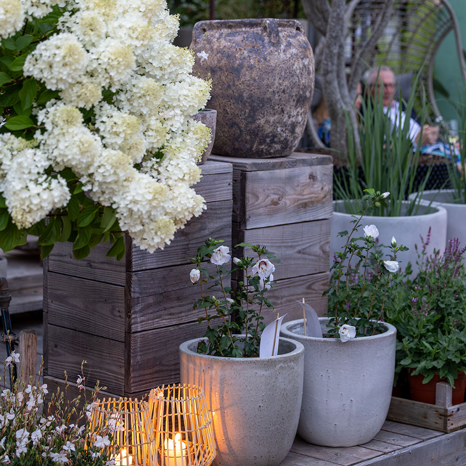 Outdoor Kitchen Party Deluxe by Lebensraum Garten 2025