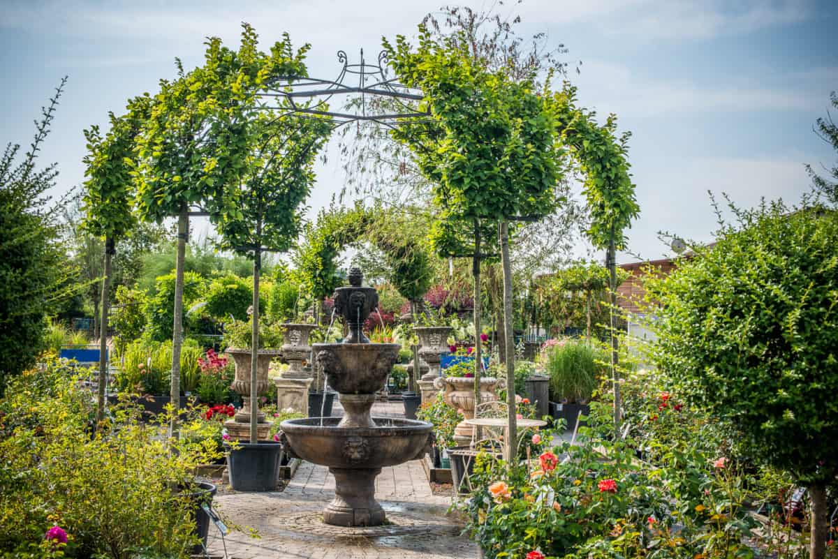 Baumschule Garten Pflanzen Bäume Landschaftsarchitekt Gärtner