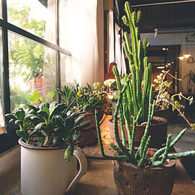 muellerlebensraum-baumschule-4